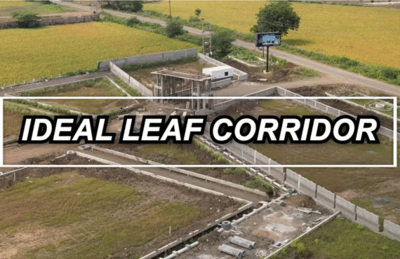 Ideal Leaf Corridor