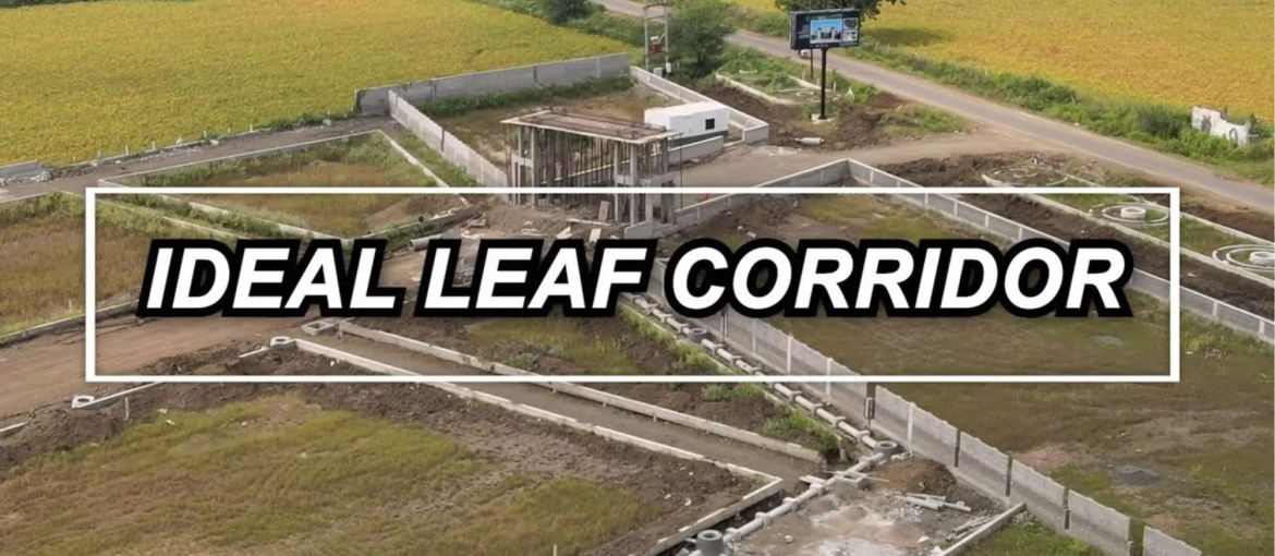 Ideal Leaf Corridor